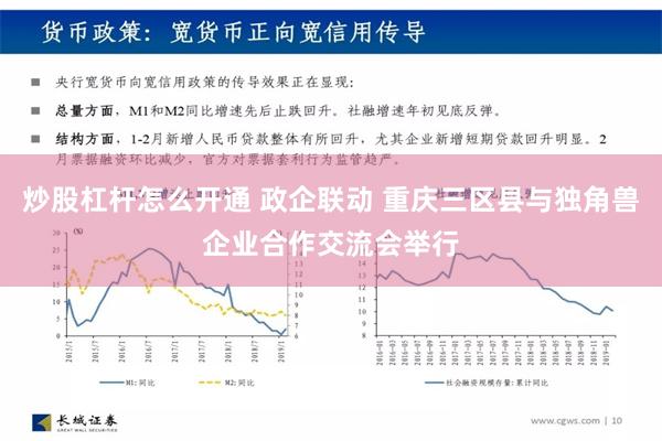 炒股杠杆怎么开通 政企联动 重庆三区县与独角兽企业合作交流会举行