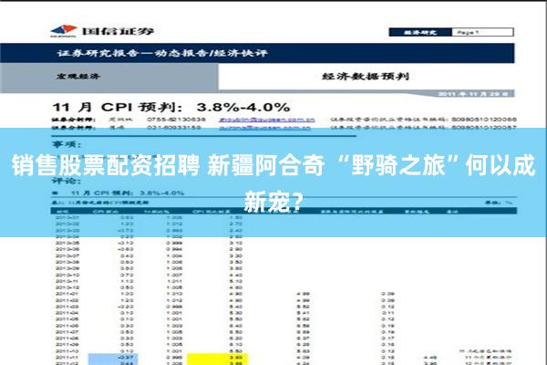 销售股票配资招聘 新疆阿合奇 “野骑之旅”何以成新宠？