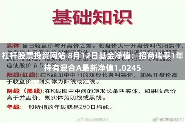 杠杆股票投资网站 8月12日基金净值：招商瑞泰1年持有混合A最新净值1.0245