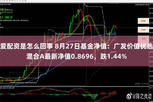 爱配资是怎么回事 8月27日基金净值：广发价值优选混合A最新净值0.8696，跌1.44%