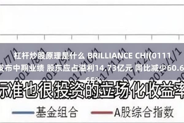 杠杆炒股原理是什么 BRILLIANCE CHI(01114)发布中期业绩 股东应占溢利14.73亿元 同比减少60.65%