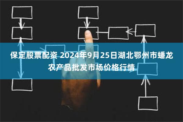 保定股票配资 2024年9月25日湖北鄂州市蟠龙农产品批发市场价格行情