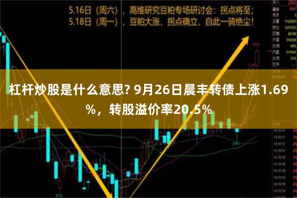 杠杆炒股是什么意思? 9月26日晨丰转债上涨1.69%，转股溢价率20.5%