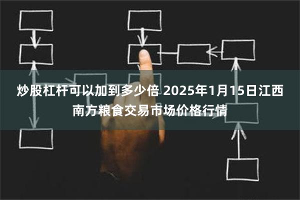 炒股杠杆可以加到多少倍 2025年1月15日江西南方粮食交易市场价格行情